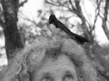 Bronwyn Rodden